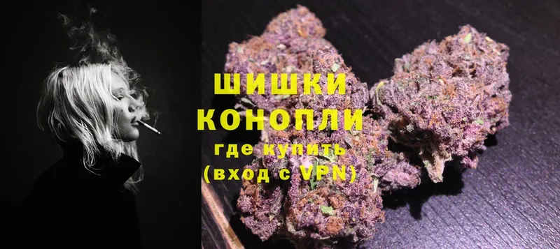 где продают   Дмитриев  Бошки Шишки SATIVA & INDICA 